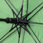 Зонт-трость Bergamo BLOOM, полуавтоматический-71250 