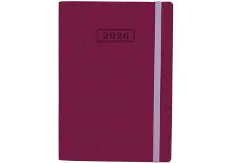 Ежедневник датированный NAMIB