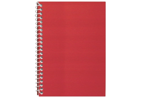 Блокнот А5 Economix, пластиковая обложка (боковая спираль)