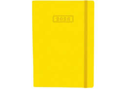 Ежедневник датированный NAMIB